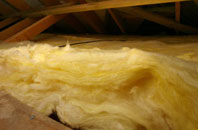 Preesgweene pitch roof insulation